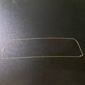 18” 10K Gold Chain.